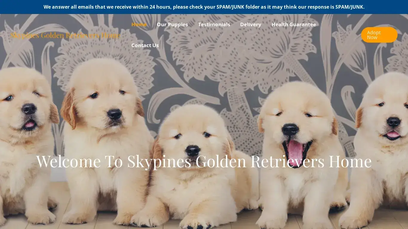 is Skypines Golden Retrievers Home – Purebred Golden Retrievers For Sale legit? screenshot