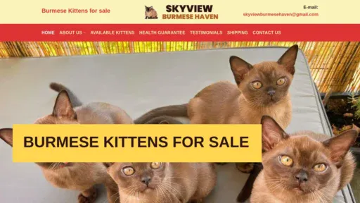 A screenshot of Skyviewburmesehaven.com