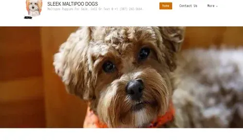 A screenshot of Genlanfamilystbernard.com