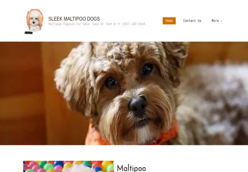 is sleekmaltipoodogs.com legit? screenshot