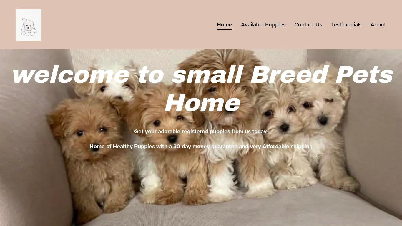 is SMALL BREED PETS HOME legit? screenshot
