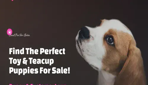 A screenshot of Genlanfamilystbernard.com