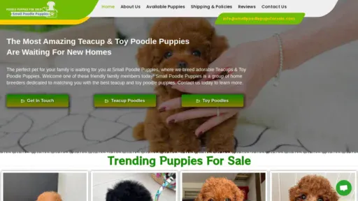 A screenshot of Smallpoodlepupsforsale.com