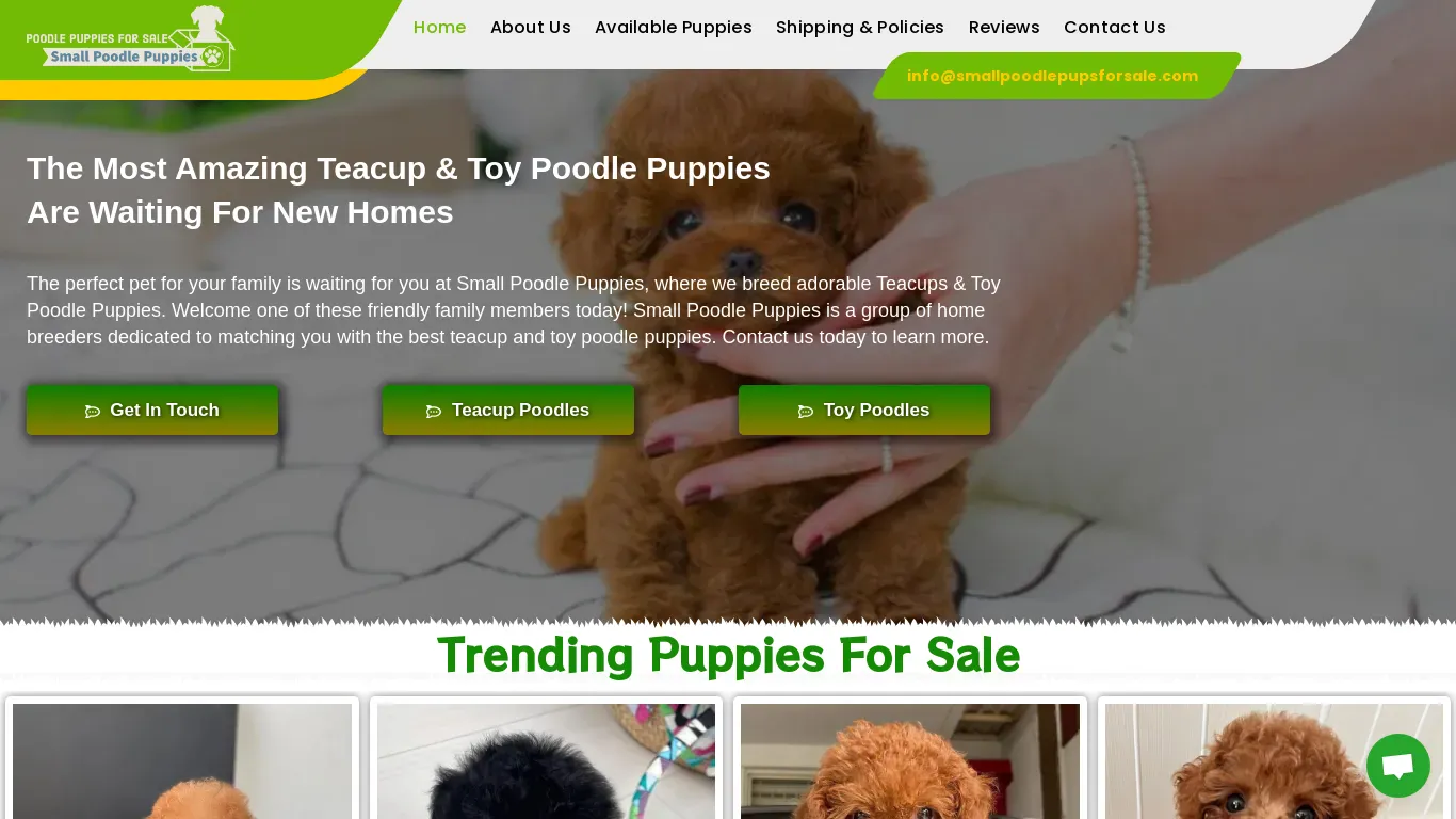 is smallpoodlepupsforsale.com legit? screenshot