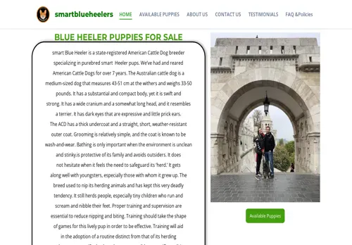 is smartblueheelers.com legit? screenshot