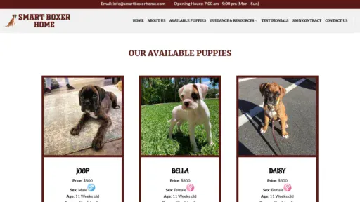 A screenshot of Smartboxerhome.com