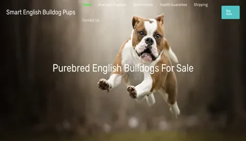 A screenshot of Genlanfamilystbernard.com