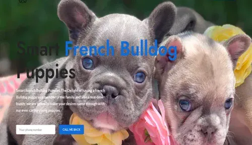 A screenshot of Genlanfamilystbernard.com