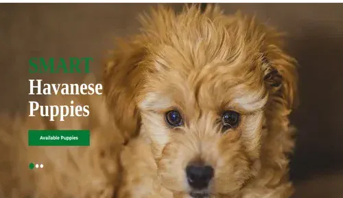A screenshot of Genlanfamilystbernard.com