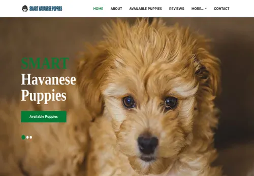 is smarthavanesepuppieshome.com legit? screenshot