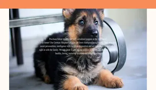 A screenshot of Genlanfamilystbernard.com