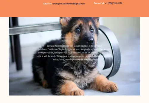 is smartk9germanshepherds.com legit? screenshot
