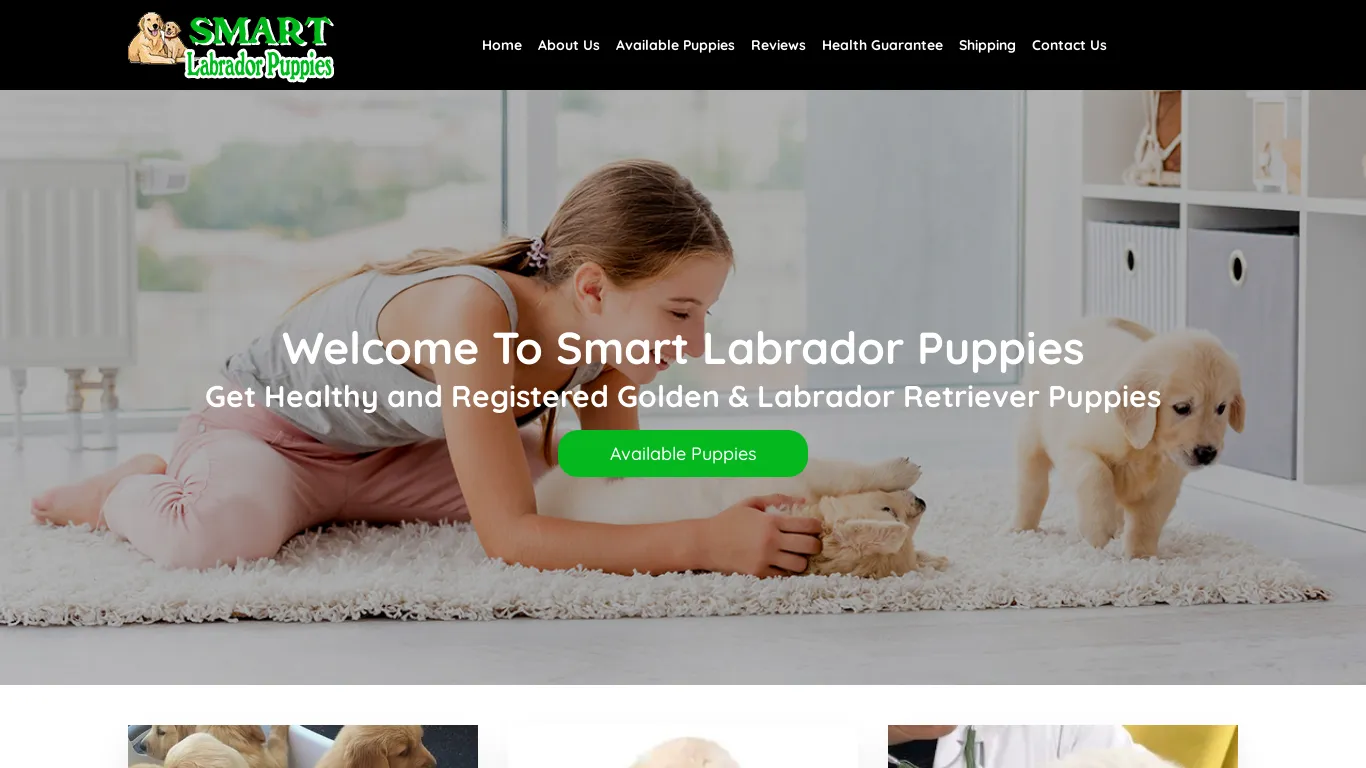 is smartlabradorepuppies.com legit? screenshot