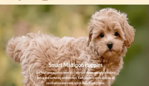 A screenshot of Genlanfamilystbernard.com