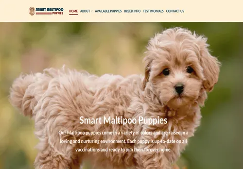 is smartmaltipoopuppies.com legit? screenshot