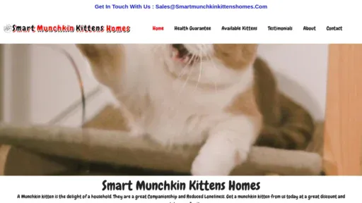 A screenshot of Smartmunchkinkittenshomes.com
