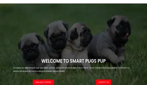A screenshot of Genlanfamilystbernard.com