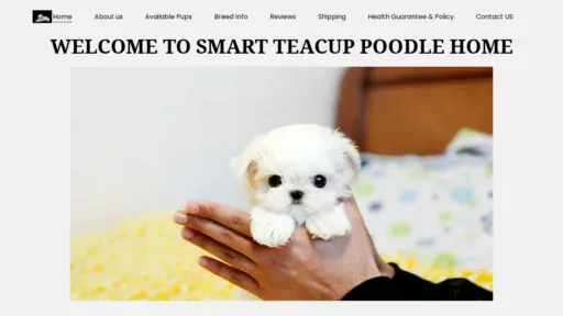 A screenshot of Smartteacuppoodlehome.com
