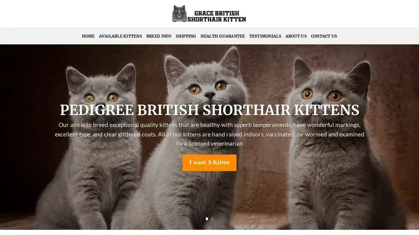 is Grace British Shorthair Kittens – Cute Kittens For Sale legit? screenshot