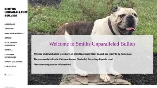 A screenshot of Smith-beabulls.com