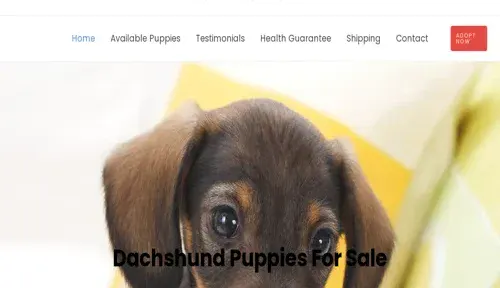 A screenshot of Genlanfamilystbernard.com
