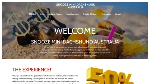 A screenshot of Snoozeminidachshundaustralia.com