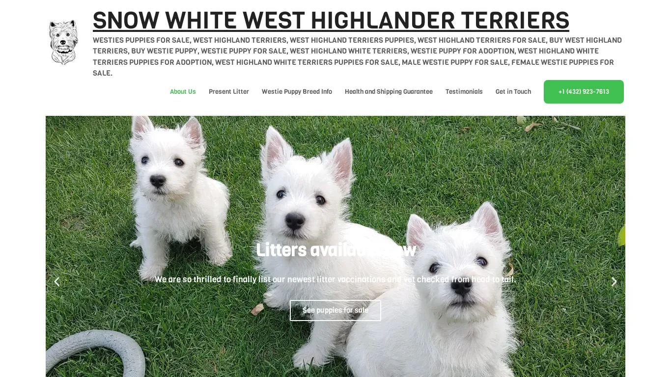 is snowhitewestiepups.com legit? screenshot