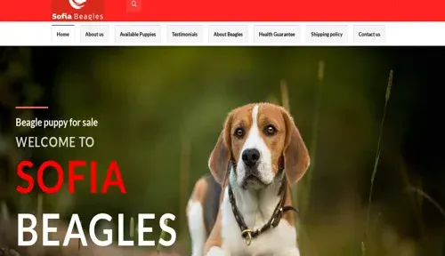 A screenshot of Genlanfamilystbernard.com