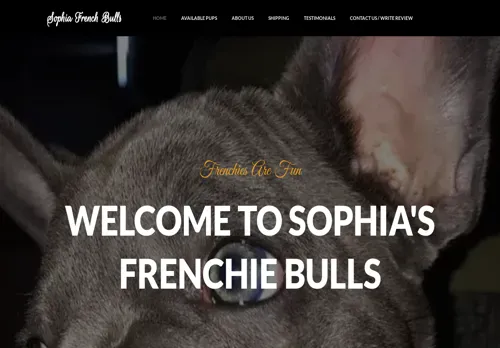 is sophiafrenchbulldogs.com legit? screenshot