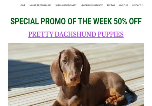 is soulmatedachshund.com legit? screenshot