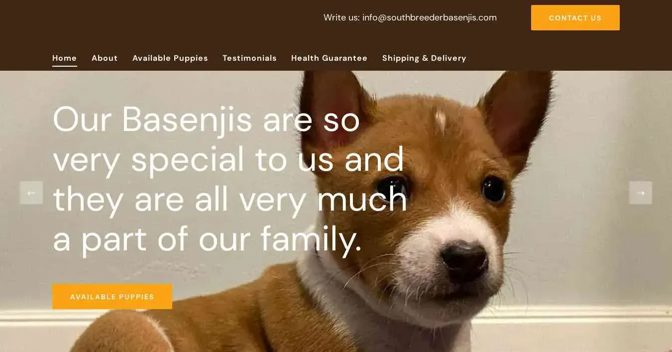 is southbreederbasenjis.com legit? screenshot