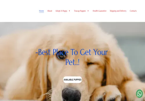is specialbreeders.co.za legit? screenshot