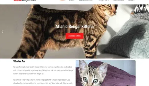 A screenshot of Genlanfamilystbernard.com