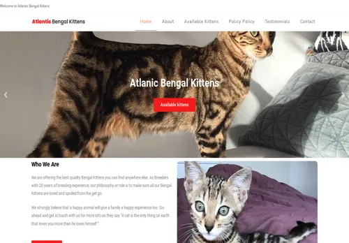 is sphynxcatsandkittensforsale.com legit? screenshot