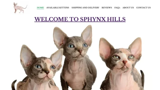 A screenshot of Sphynxfamilykittens.com
