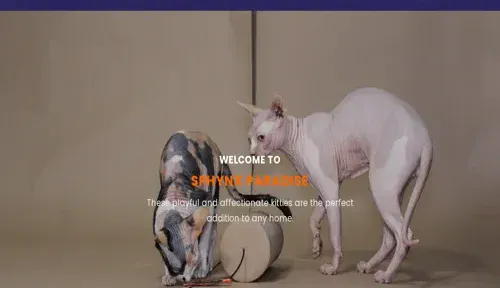 A screenshot of Genlanfamilystbernard.com