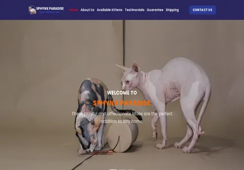 is sphynxkittenparadise.com legit? screenshot