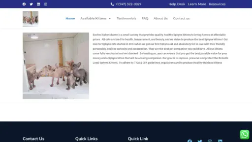 A screenshot of Sphynxkittens.us