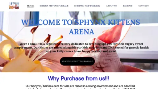A screenshot of Sphynxkittensarena.com