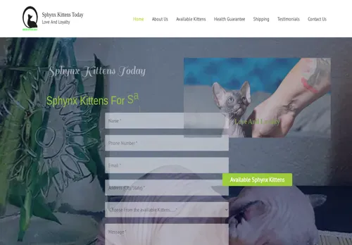 is sphynxkittenstoday.com legit? screenshot