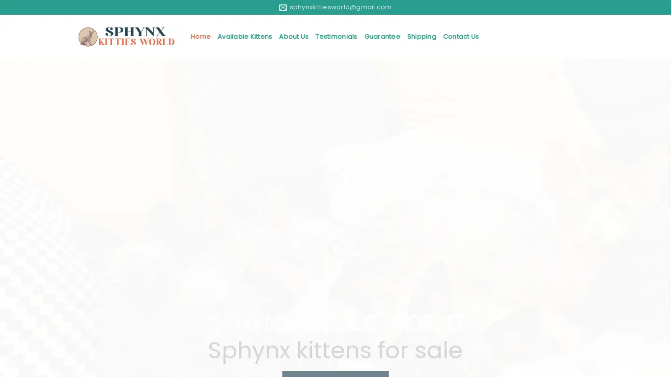 is sphynxkittiesworld.net legit? screenshot