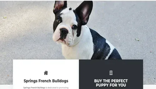 A screenshot of Genlanfamilystbernard.com