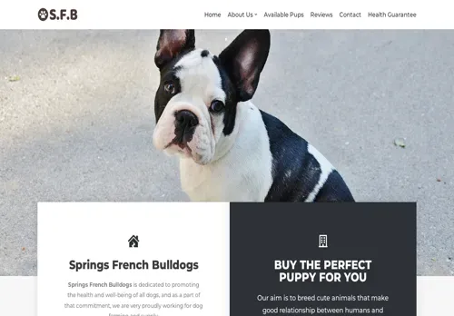is springsfrenchbulldogs.com legit? screenshot
