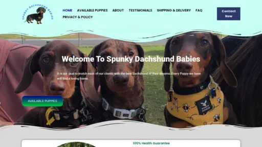 A screenshot of Spunkydachshundbabies.com
