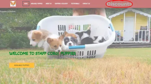 A screenshot of Staffcorgipuppies.com