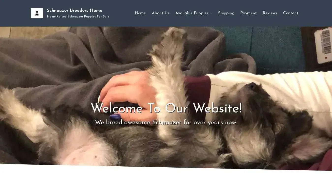 is standardandminischnauzerpuppies.com legit? screenshot