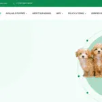 stanleyadorable puppies forsale com