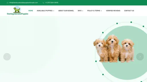 A screenshot of Stanleyadorablepuppiesforsale.com