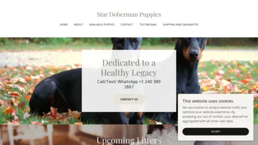 A screenshot of Stardoberman.com