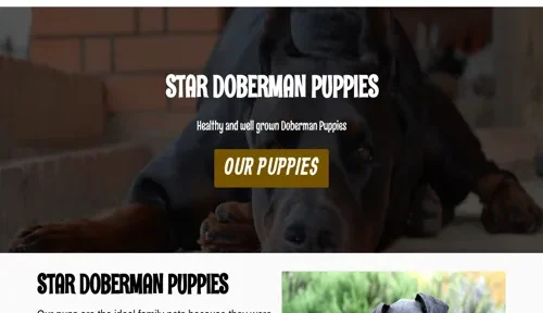 A screenshot of Genlanfamilystbernard.com